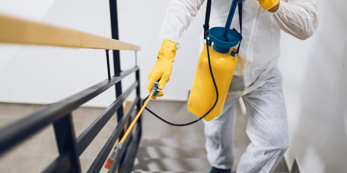 Professional Pest Control Application