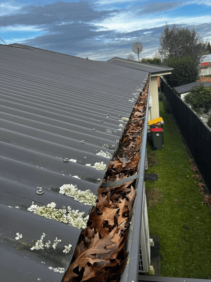 gutter-cleaning-services-in-auckland-5
