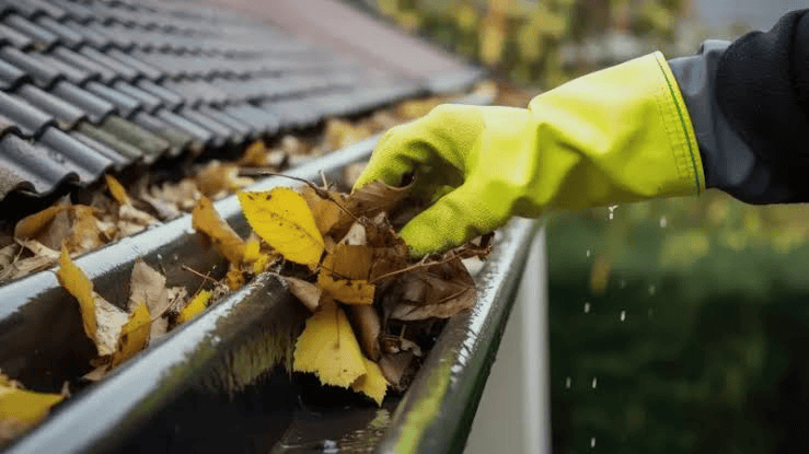 gutter-cleaning-services-in-auckland-8