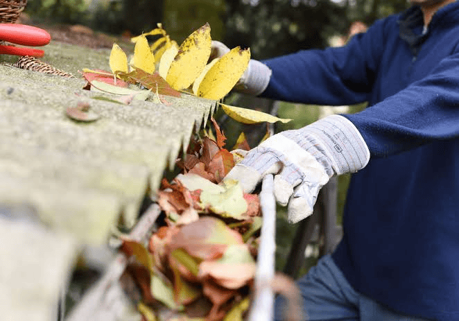 gutter-cleaning-services-in-auckland -9