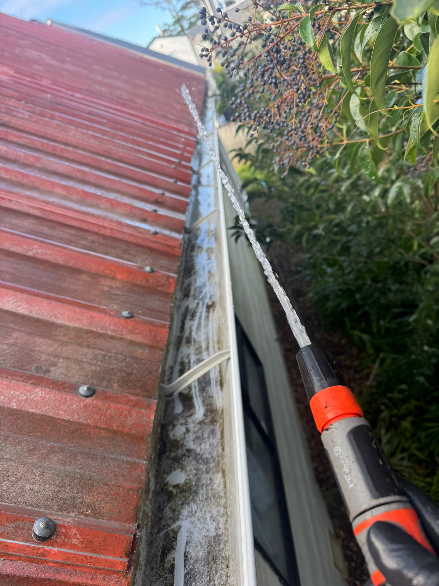 gutter-cleaning-services-in-auckland