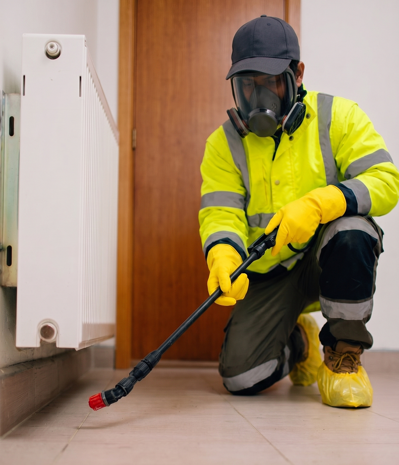 Residential Rodent Management
