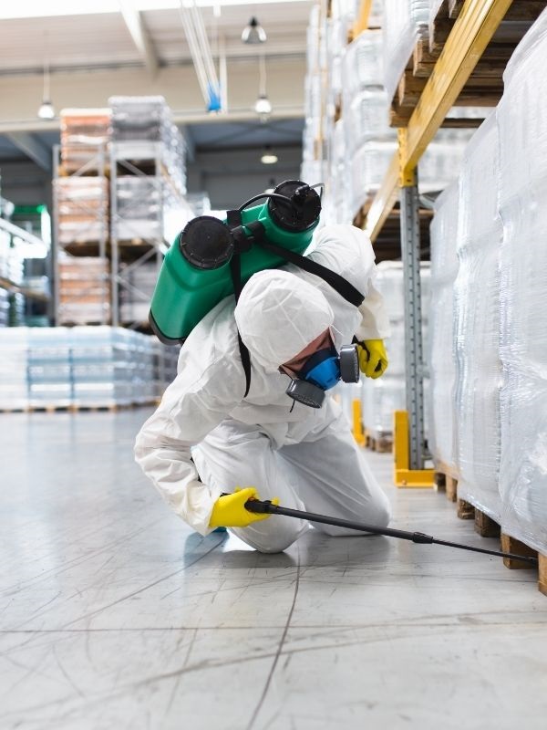 Commercial Pest Control Services in Auckland