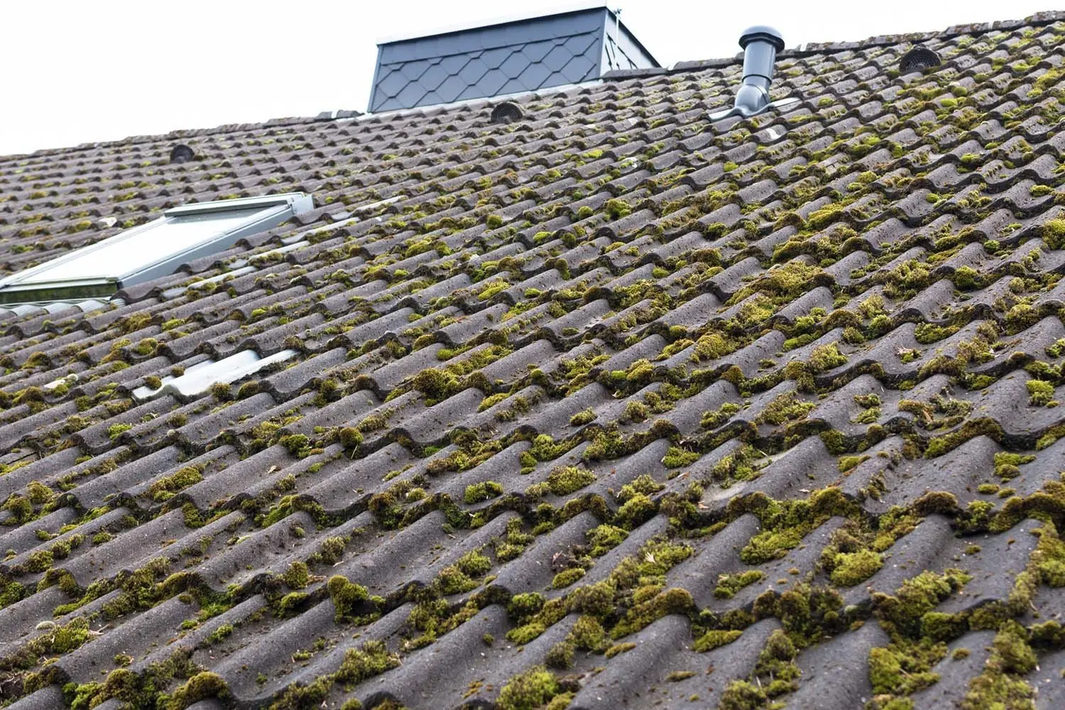 roof treatments-inauckland