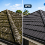 How Often Should You Treat Your Roof in Auckland?