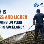 Why Is Moss and Lichen Growing on Your Roof in Auckland? Causes, Risks and What to Do