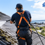 How Often Should You Clean or Treat Your Roof in Auckland? A Practical Guide